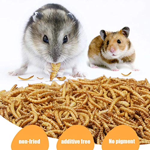 hamster food with mealworms