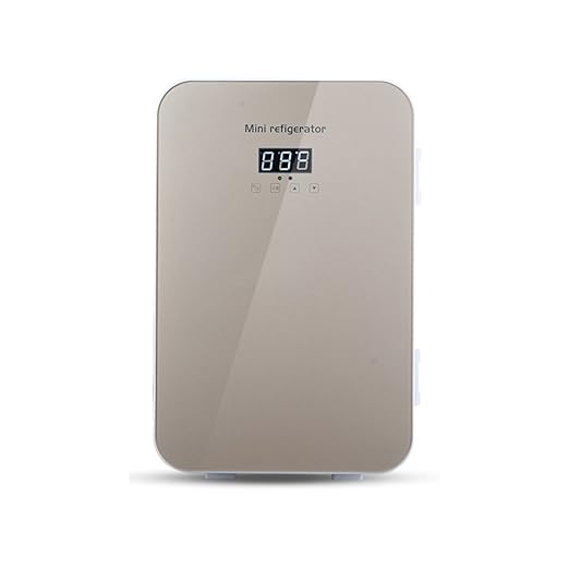 YZY Caja Fría Portátil Refrigerador del Coche 22L Mini Congelador ...