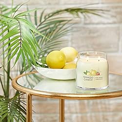 Yankee Candle Iced Berry Lemonade