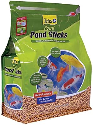 shiba inu and samoyed