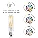 T10 Led Tubular Bulb,75 Watt Incandescent Bulb,8W Dimmable Edison Led Bulb,3000K Soft White,E26 Medium Base Lamp, 3-Pack (Soft White(Clear Glass))