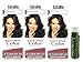 Cosamo -Love Your Color- Ammonia & Peroxide Free Hair Color #765 Medium Brown (Pack of 3) with One Jarosa Beauty Bee Organic Peppermint Lip Balm 100% All Natural Deep Moisturizing Usda Certified