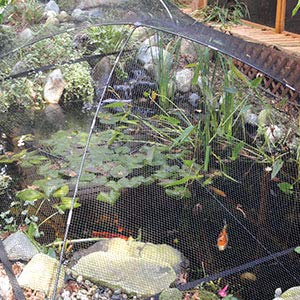 Atlantic PGPSM Pond and Garden Protector Dome Net, 7x9x2 Feet, 1/2 Inch Mesh - Keeps Out Debris, Pests - Includes Fiberglass Poles, Stakes and More
