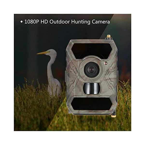 Tierkamera Wildkamera Fotofalle Jagdkamera Trail Wildlife Kamera 12MP HD Spielkameras 1080P Digital Jagdkamera 940NM…