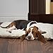 PETMAKER Medium Cushion Pillow Pet Bed - Latte