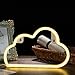 Qunlight Neon Night Light Cloud Shaped with Pink Lamp USB & Battery Powered Hanging Wedding Sign, Novelty Wall Decor or Valentine's Day,Birthday Party,Kids Room, Living Room,Bedroom,or Bar.