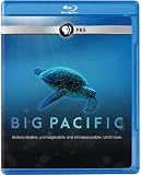 BIG PACIFIC-BIG PACIFIC