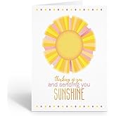 Stonehouse Collection | Sending Sunshine Note Cards | Thinking of You Note Cards | Get Well Card | Feel Better Card | Perfect for Any Occasion (Sending Sunshine)