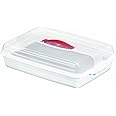 CURVER 175245 Cake Container Rectangular Transparent/White