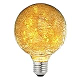 Judy Lighting - G95 LED Edison Bulb Decorative Starry String Light Bulb E26 Glass Fairy Light Bulb(Fireworks), Holiday Decoration Warm White