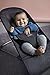 BabyBjörn Bouncer Bliss, Anthracite, Mesh | 2-in-1 Adjustable Baby Bouncer Seat and Toddler Chair, Newborn to Toddler (8-29 lbs), 4 positions, Lightweight & Portable