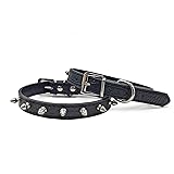 Enjoying Spiked Cat Collar, Leather Spikes Dog