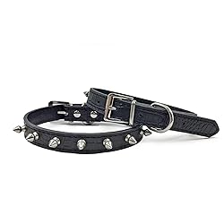 Enjoying Spiked Cat Collar, Leather Spikes Dog