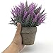 Velener Mini Artificial Flowers Provence Lavender Arrangements in Pots for Home Decor (Purple)