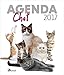 Agenda du chat by 
