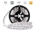 LEDMO 12V Flexible SMD 5050 RGB LED Strip Lights, LED Tape, Multi-colors, 300 LEDs, Non-waterproof, Light Strips, Color Changing, Pack of 16.4ft/5m Strips