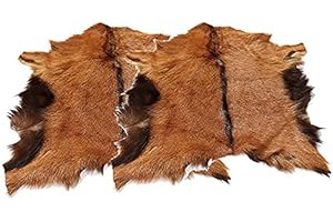 HUICHENXING2021FURSTORE 2PCS Real Goatskin Hide Fur Pelts Goat Skin Leather Goat Hide Home Decor Design Hunting Ornament Floor Wall Exhibit Display for DIY Clothing Sheepskin Fur Rug Exotic (Approx 21x15in)