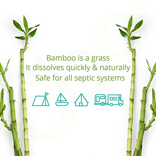 Caboo TreeFree Bamboo Toilet Paper, Bulk 32 Double Rolls, Septic Safe