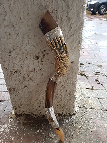 Shofar Yemenite Kudu Horn 24''+ with Sterling Silver Plated Lion of Judah + Menorah