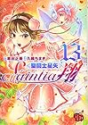 聖闘士星矢 セインティア翔 第13巻