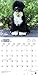 Portuguese Water Dogs 2018 Calendar