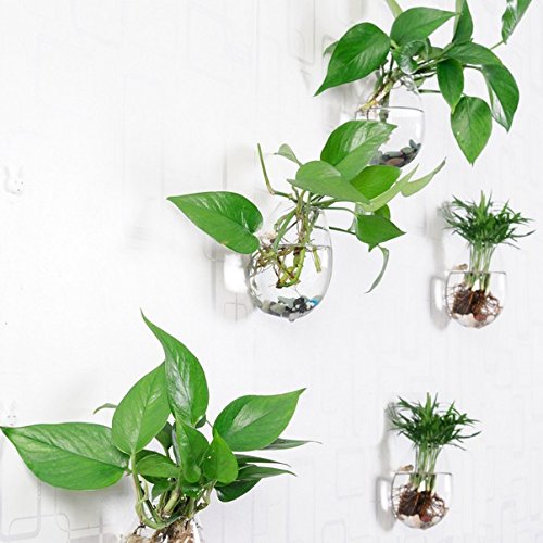 5 Packs Wall Hanging Planters Glass Plant Pots Water Plant Containers Glass Flower Pots Wall Hanging Glass Planters Plant Containers Hanging Planters Air Plant Terrariums Glass Terrarium