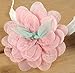 DANMY Baby Girl Super Stretchy Headband Big Lace Petals Flower Baby Headband Newborn Hair Accessories (4PCS Mixed color)