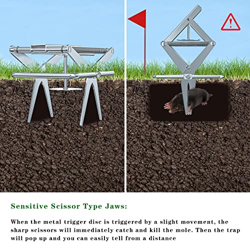 Mole Traps That Kill Best, Mole Trap Easy to Set, Reusable Vole Gopher