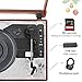 Record Player Turntable Vinyl LP Wireless 3-Speed Record Player USB Encoding SD Belt-Driven Reto Style Vinyl Record Player Built-in Speakers Vintage Style (2019 Model)thumb 4