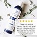 Nurture My Body All-Natural Everyday Conditioner, Fragrance Free, 8 fl oz. - Certified Organic Ingredients