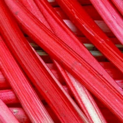 Rheum x hybridum 'Timperley Early' Rhubarb 15cm Pot Size