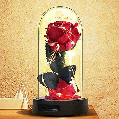 Beauty and the Beast Rose, Red Silk Rose in a Glass Guyana Ubuy