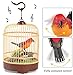 Liberty Imports Singing and Chirping Bird Toy in Cage – Realistic Sounds and Movements – Sound Activatedthumb 1