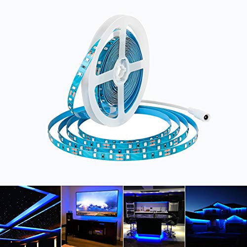 HOMELYLIFE 12V LED Strip Light Blue SMD 2835 - Non-Waterproof 16.4Ft 300 LEDs Tape Lights for Home, Party, DIY Decor and More - Blue Coating