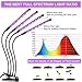 Upgraded Grow Light, 4 Heads 72pcs LEDs Plant Light for Indoor Plants, Auto ON/Off Full Spectrum Plant Grow Light, 4/8/12H Timer 5 Dimmable Levels Growing Lamp for Garden Seedling Herbs Succulents