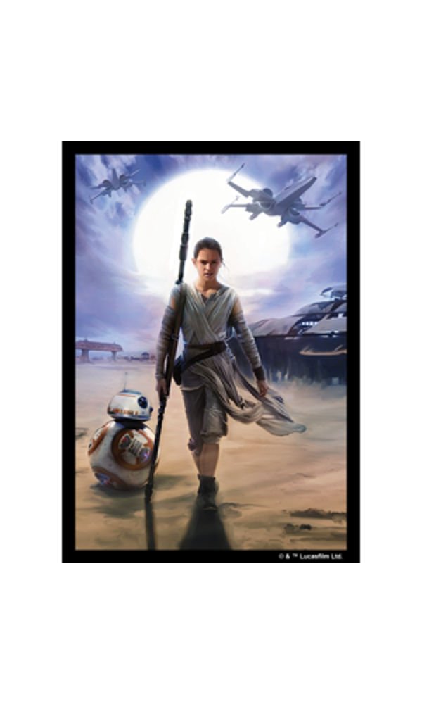 Rey Art Sleeve Display: Star Wars The Force Awakens