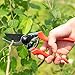 Lakaw Professional Stainless Steel Bypass Pruning Shears (LK-03041)，Garden Shears，Hand Pruners，Garden Clippers.（Red）thumb 3