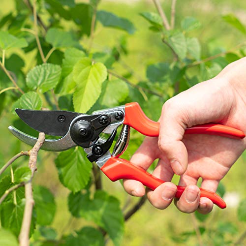 Lakaw Professional Stainless Steel Bypass Pruning Shears (LK-03041),Garden Shears,Hand Pruners,Garden Clippers.(Red)