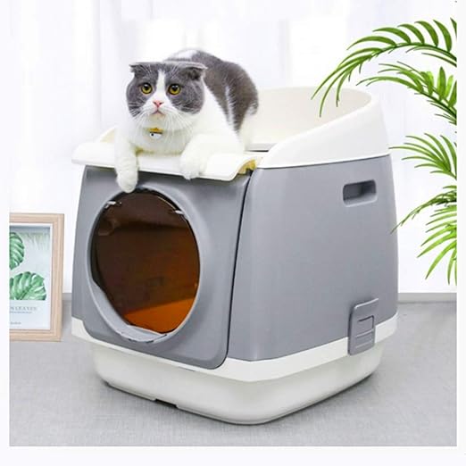 Caja para gatos de arena | Los mejores ejemplares de cajas.