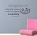 Cheshire Cat Quote - Imagination Is the Only Weapon in the War Against Reality Wall Decal- Black (24" X 11")
