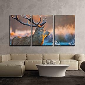 3 Piece Canvas Wall Art - Red Deer in Morning Sun - Modern Home Art Stretched and Framed Ready to Hang - 16"x24"x3 Panels