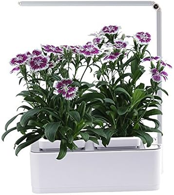 Aibis hierbas aromáticas para interiores, sistema de crecimiento ...