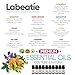 Labeatie Aromatherapy Diffuser Essential Oils Set of 10 Therapeutic Grade Natural and Pure Essential Oil Bottles 10ml For Diffusers and Humidifier with Lavender Lemon Tea Tree Eucalyptus and More