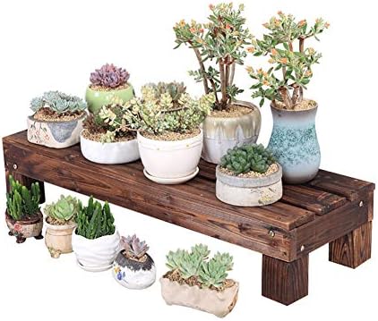 Estantes de Plantas Soporte de exhibición de Flores, Escaleras ...