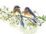 Gina B. Designs Bluebirds Boxed Note Cards-- Set of 8 with Spring Green Envelopes