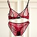 Sheer Bra and Panty Sets for Women, See Through Mesh Underwire Bras Briefs Lace Lingerie Set 2 Piece(V279TS0-34B-Red