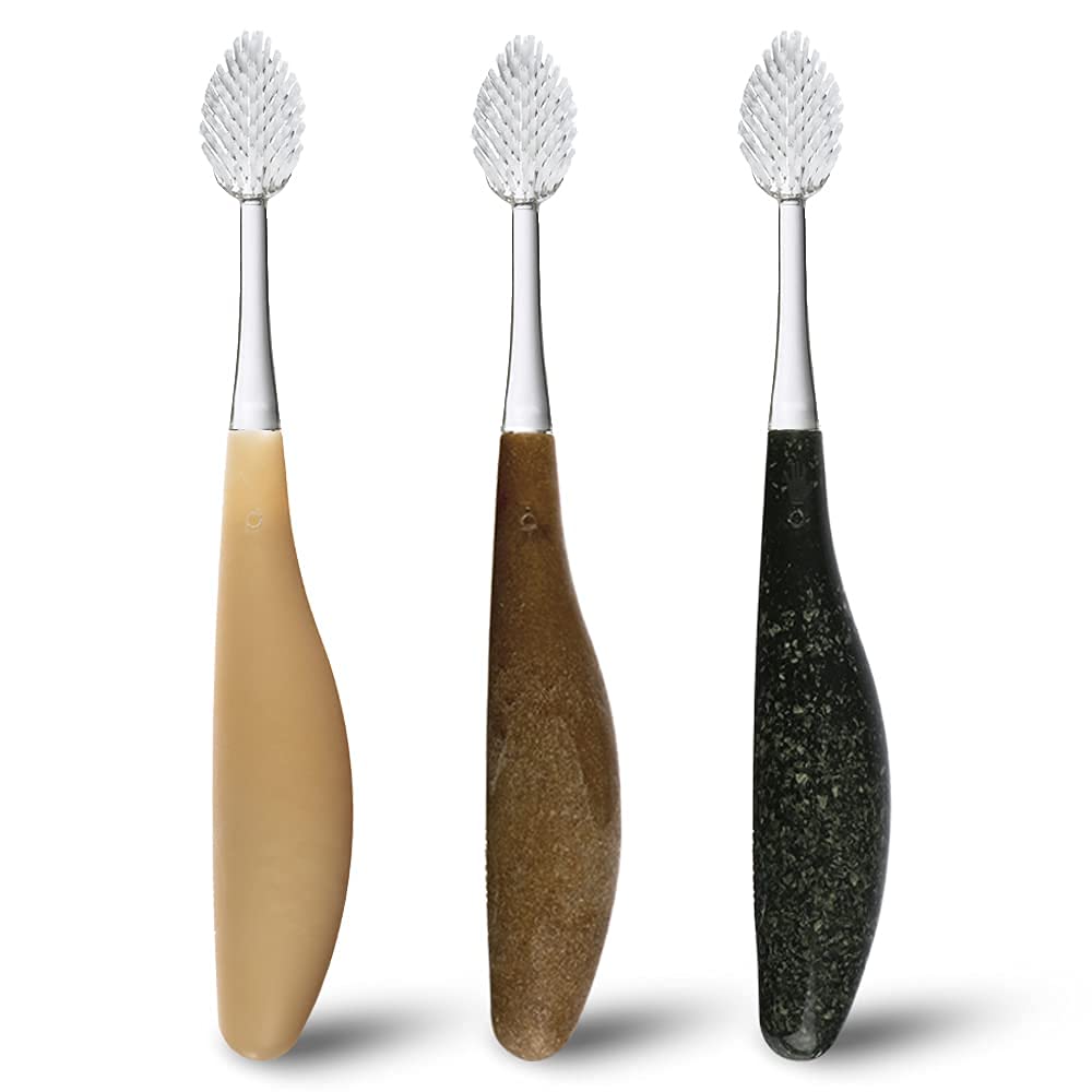 Radius Toothbrush Source Brush Soft Assorted Handles 3 Count | BPA Free and ADA Accepted | Designed to Improve Gum Health and Reduce The Risk of Gum Disease
