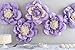 Martha Stewart Crafts 44-10221 Tissue Pom-Pom Kit, Lilac Purple Pansy Flowers, Violet