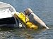 Paws Aboard Doggy Boat Ladder and Ramp