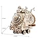 ROKR 3D Assembly Puzzle Build Your Own Wooden Music Box Craft Kits, Brain Teaser Gifts for Kids and Adults (Spaceship)